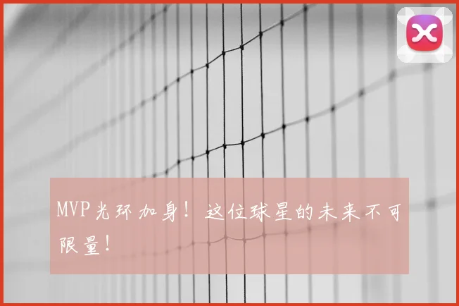 MVP光环加身！这位球星的未来不可限量！